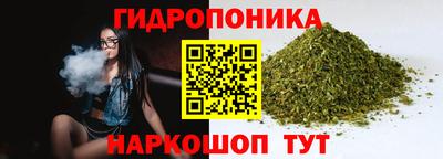 крисы Абинск