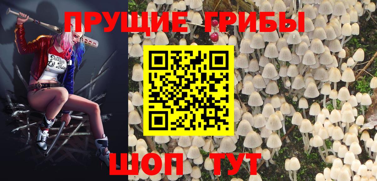 Галлюциногенные грибы Cubensis  Вход с VPN  Алексин 
